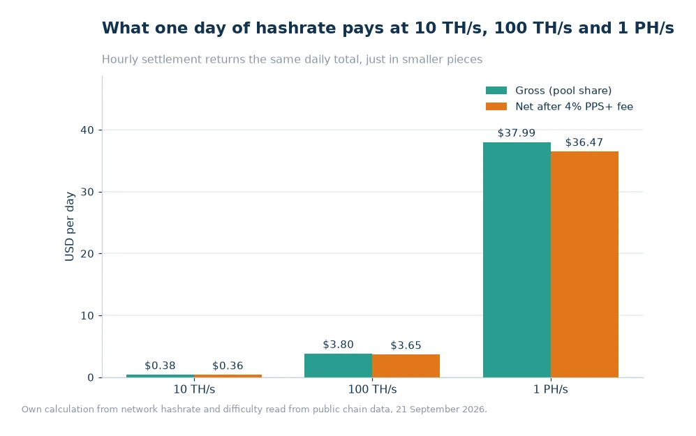 Bar chart of gross and net daily USD earnings at 10 TH/s, 100 TH/s and 1 PH/s